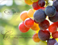 Callaway Winery